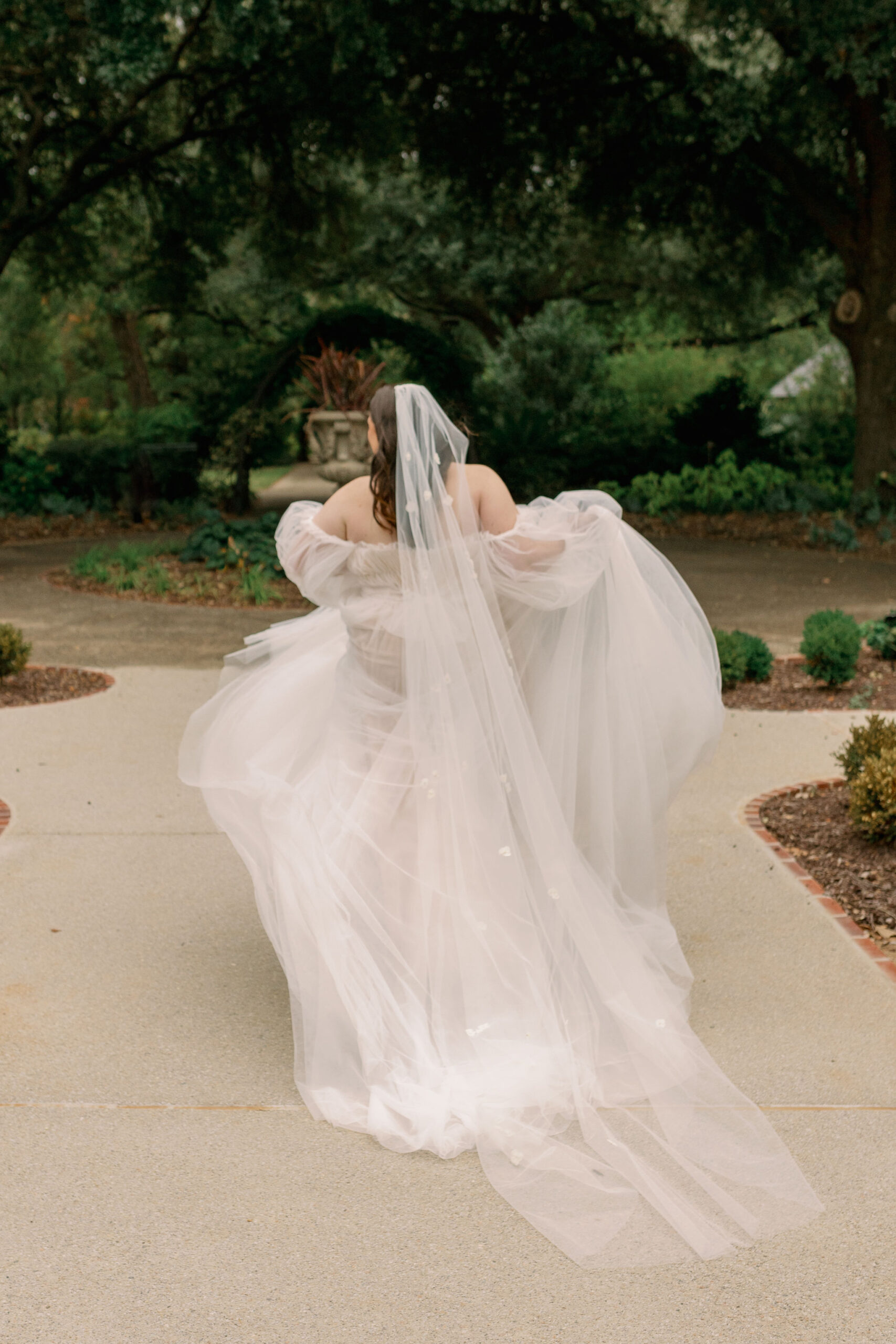 cathedral veil on a bride